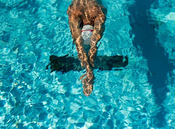 7 непреложных правил безопасности при посещении и плавании в бассейне